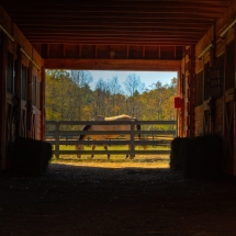 42 Coves Equestrian 1