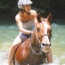 43 Coves Equestrian 5