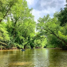 44 Coves Johns River Kayaking 1