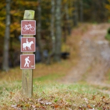 48 Coves Nature Trails 1