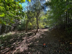 Environmental Factors to Consider When Buying Mountain Land in North Carolina